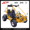 Adultes chinois fabrique montagne gaz plage Offroad Buggy